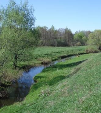 «Наша реченька Мардас – лучше всех на свете рек…»